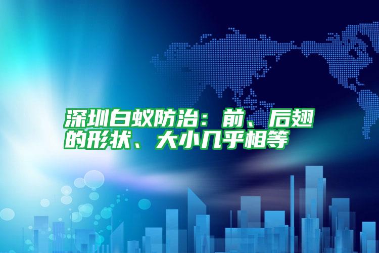 深圳白蟻防治：前、后翅的形狀、大小幾乎相等