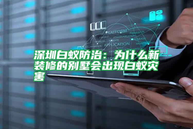 深圳白蟻防治:為什么新裝修的別墅會出現白蟻災害