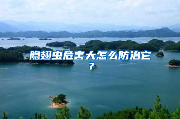 隱翅蟲危害大怎么防治它？