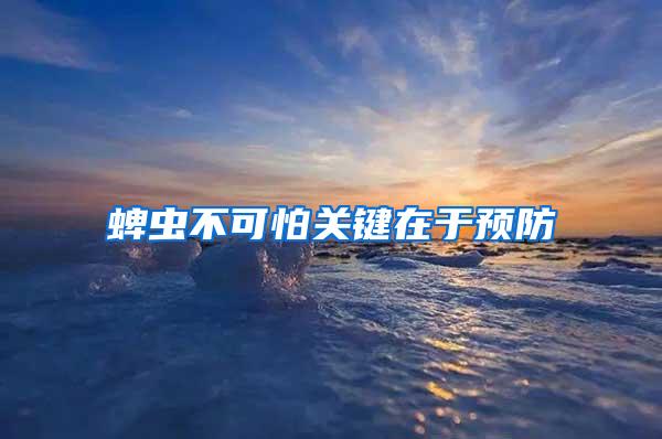 蜱蟲不可怕關鍵在于預防