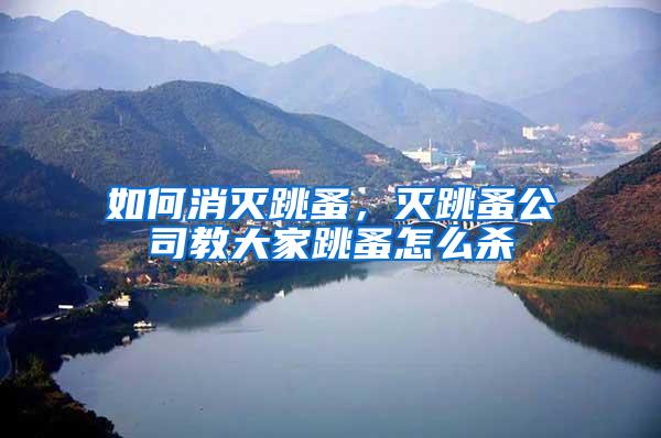如何消滅跳蚤，滅跳蚤公司教大家跳蚤怎么殺