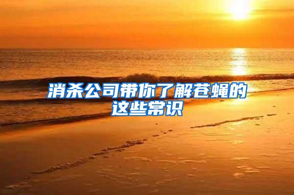 消殺公司帶你了解蒼蠅的這些常識(shí)