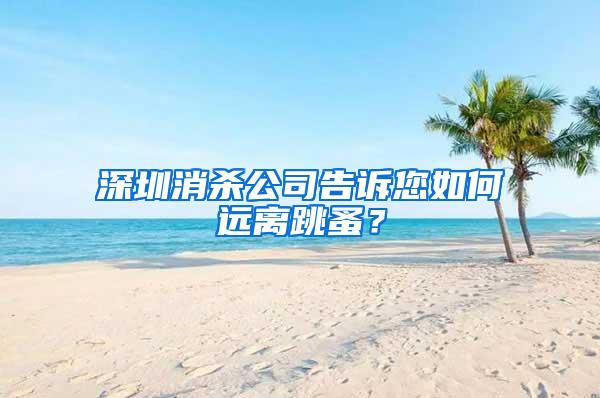 深圳消殺公司告訴您如何遠(yuǎn)離跳蚤？