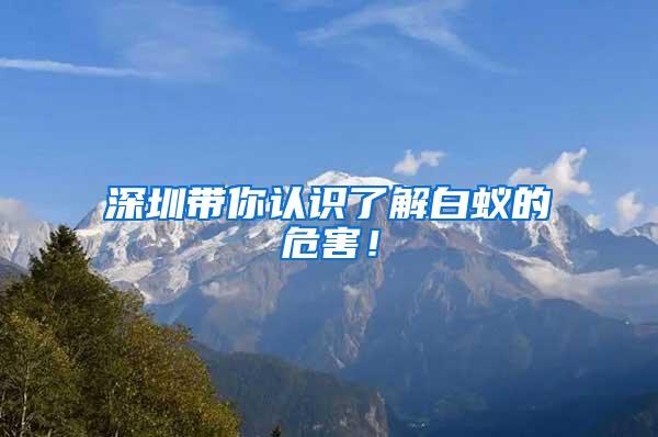 深圳帶你認(rèn)識(shí)了解白蟻的危害！