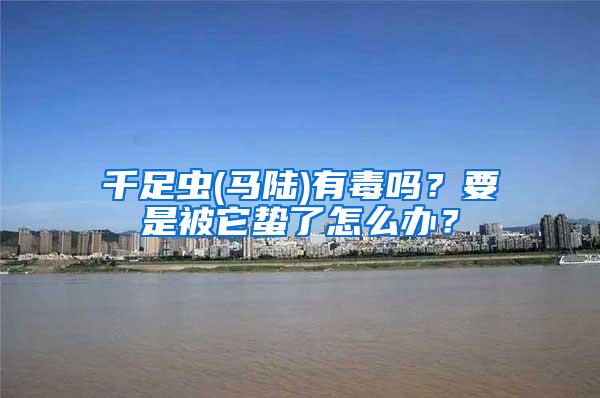 千足蟲(馬陸)有毒嗎？要是被它蟄了怎么辦？