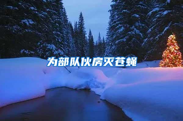 為部隊伙房滅蒼蠅