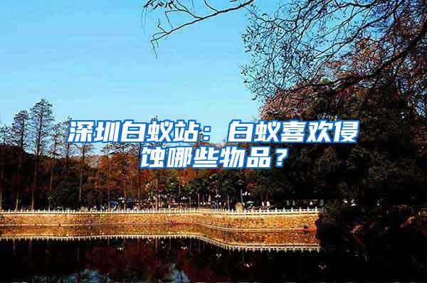 深圳白蟻站：白蟻喜歡侵蝕哪些物品？